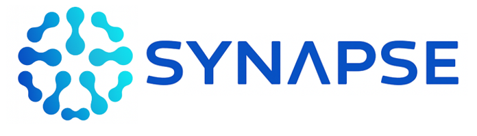 Synapse - Software & AI
